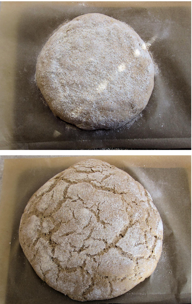 Malt Vinegar Rye Bread Recipe Cuisine Fiend